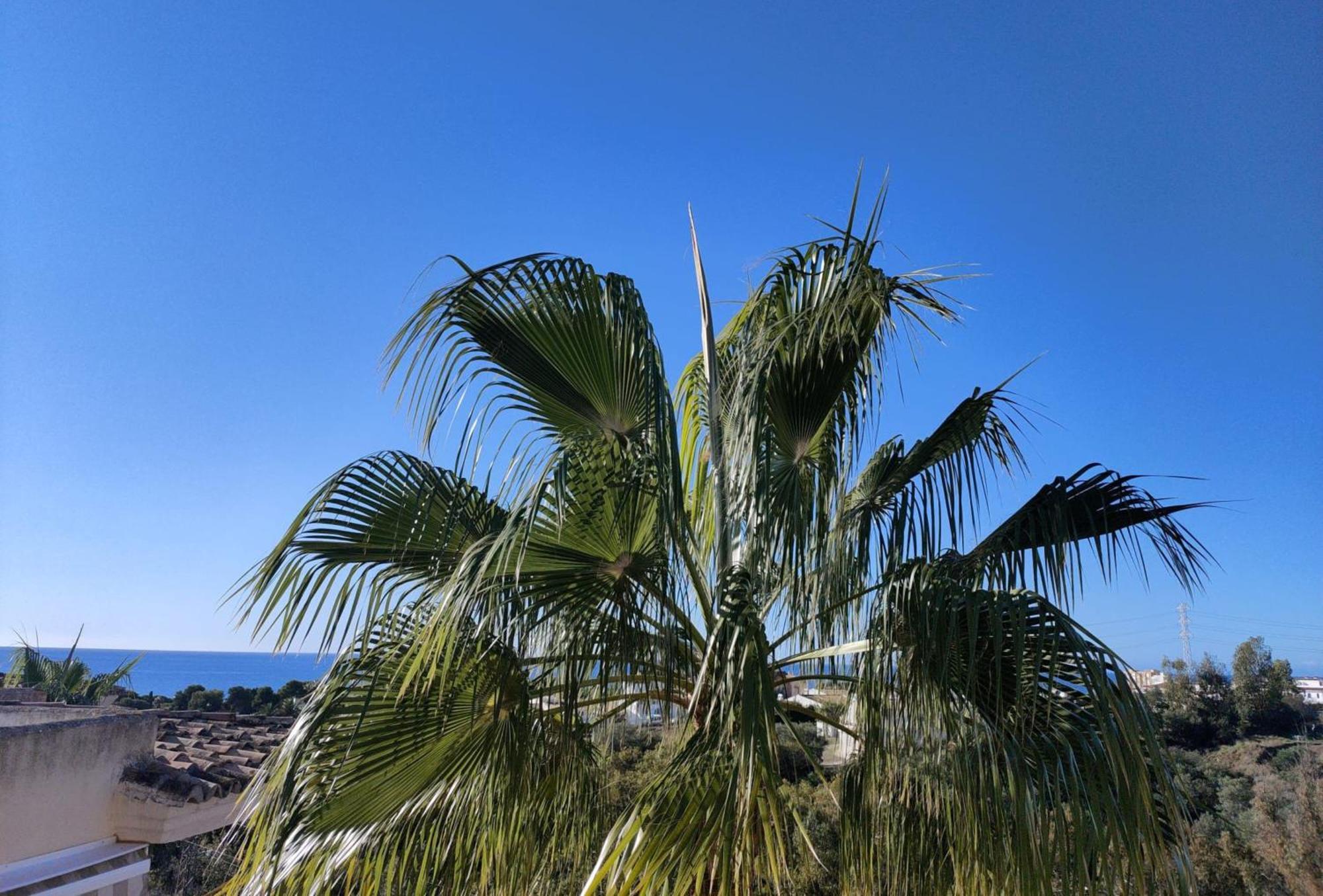 Apartment Sea View *