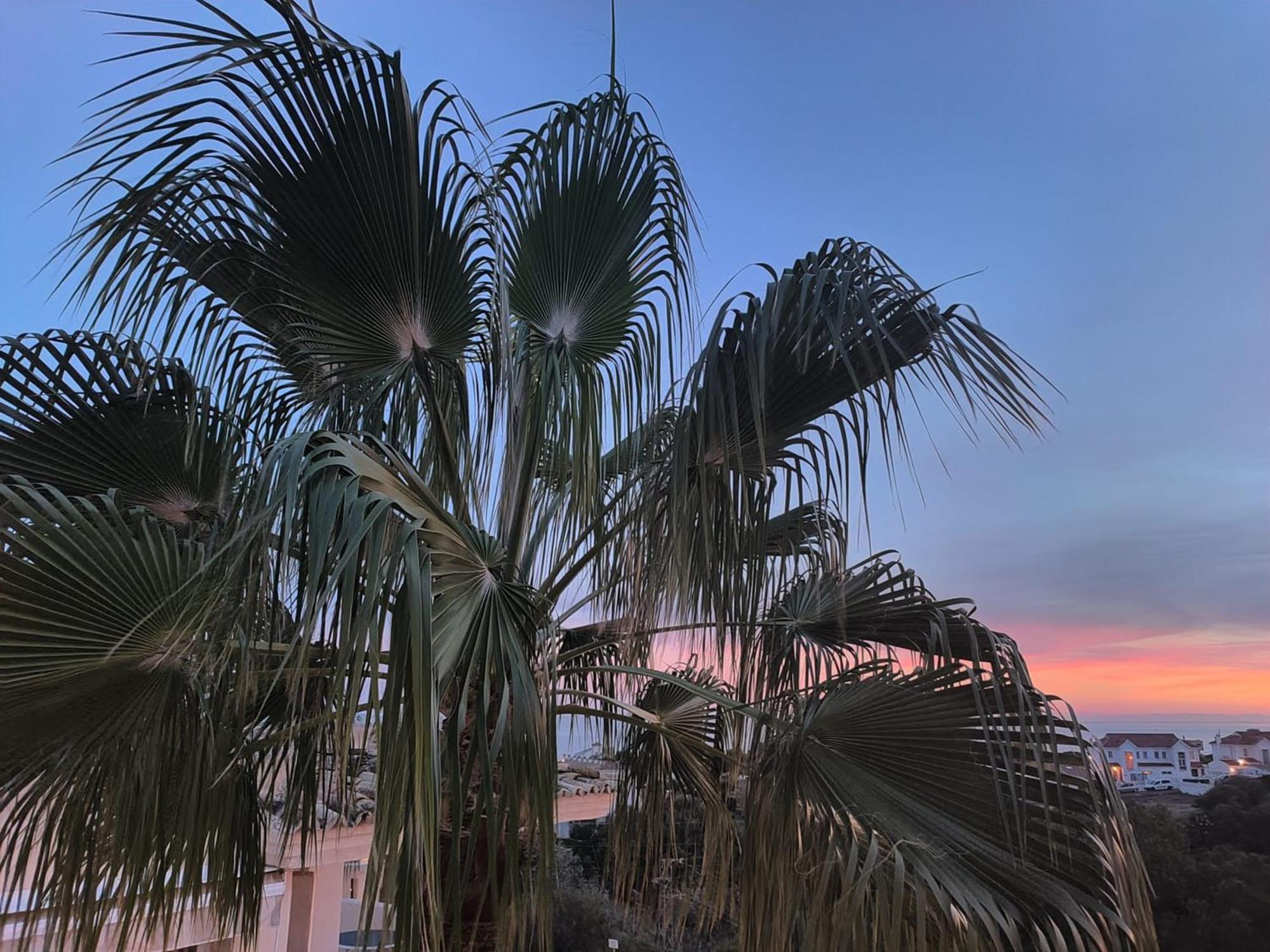 Sea View Apartment